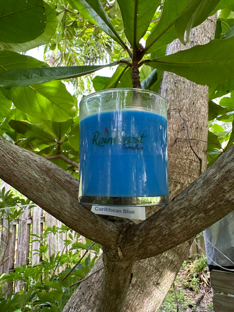 Single wick, Caribbean Blue