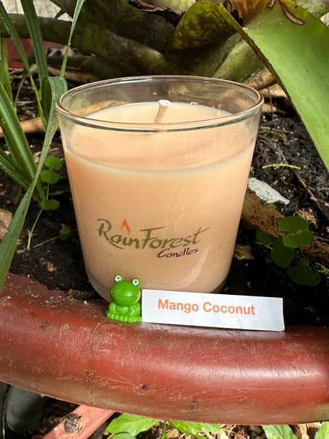 Single wick, Mango Coconut